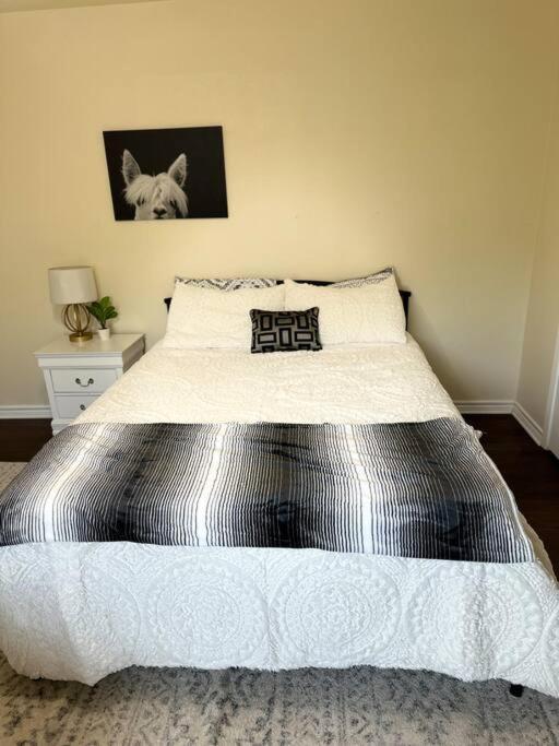 Walk To The Alamodome! Sleeps 6, Pet Friendly Apartment San Antonio Exterior photo